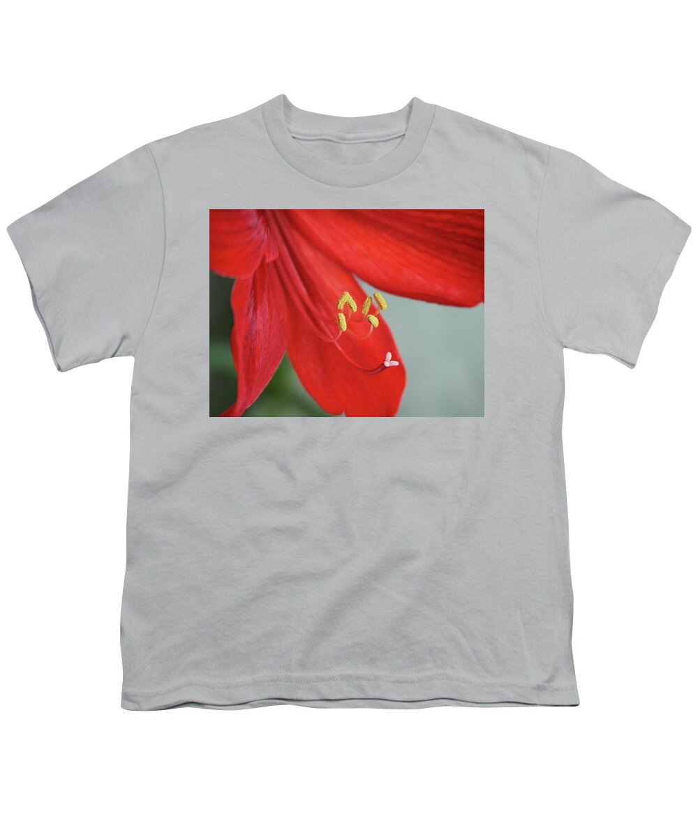 Flower Youth T-Shirt featuring the photograph Amaryllis. Close up by Masha Batkova