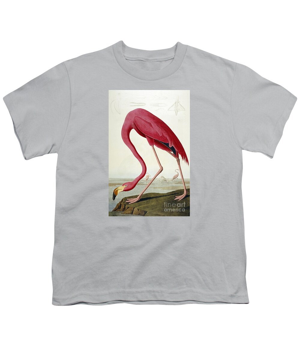 John James Audubon (jean-jacques Audubon) (1785  1851) Youth T-Shirt featuring the painting American Flamingo by MotionAge Designs