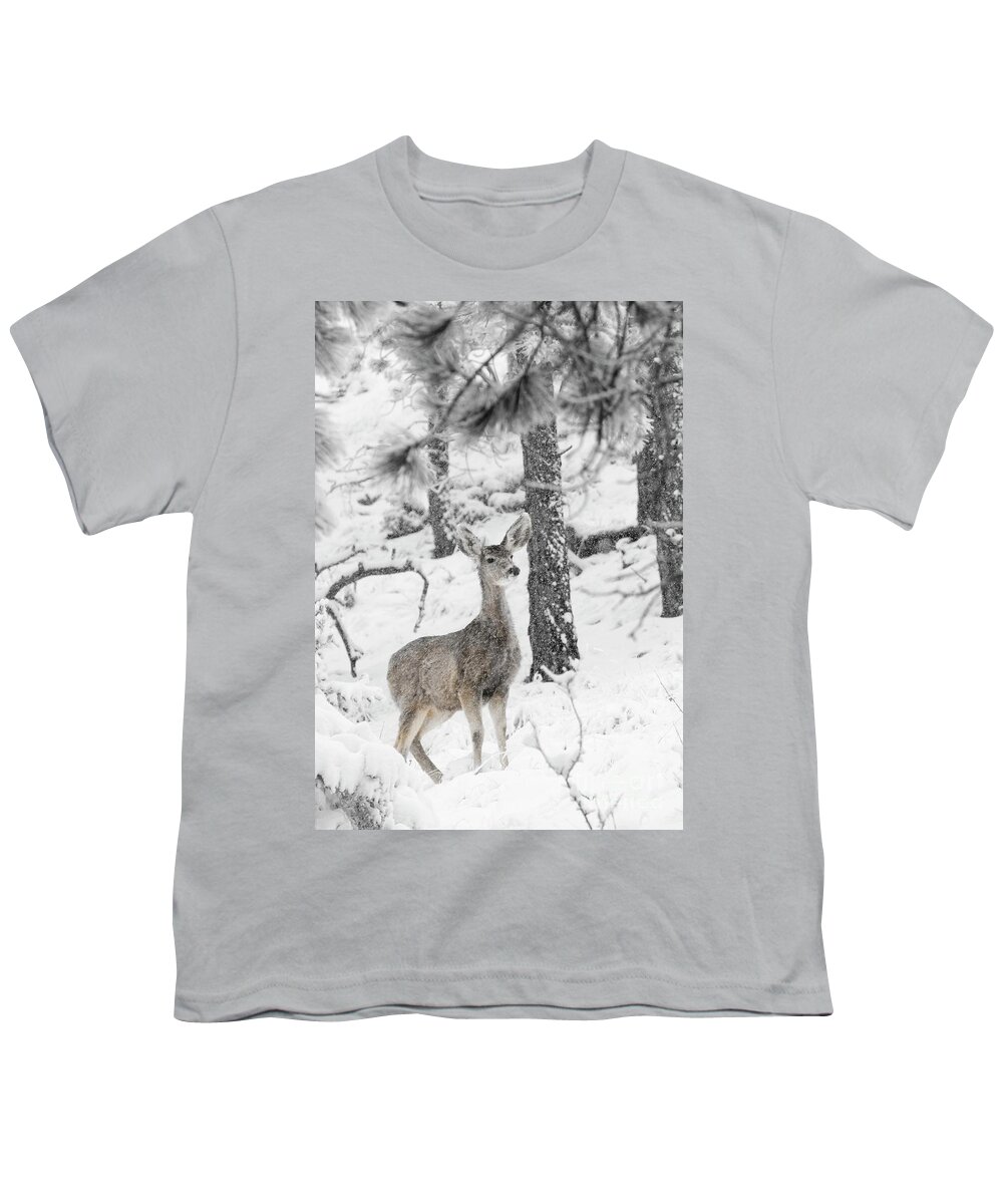 Animals Youth T-Shirt featuring the photograph Black and White Mule Deer in Heavy Snowfall by Steven Krull
