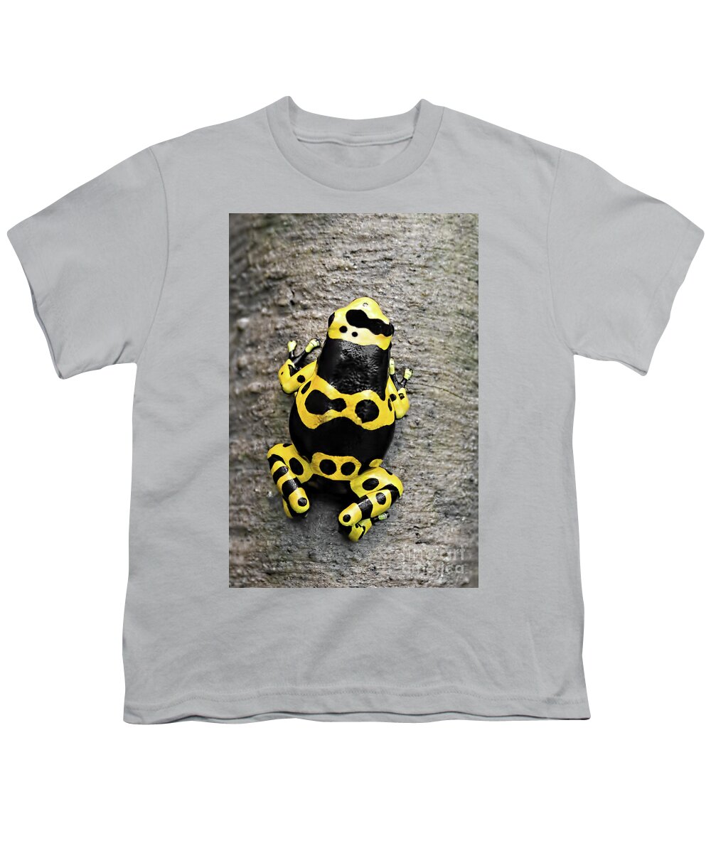Frog Youth T-Shirt featuring the photograph Black and Yellow Poison Dart Frog by Barbara McMahon