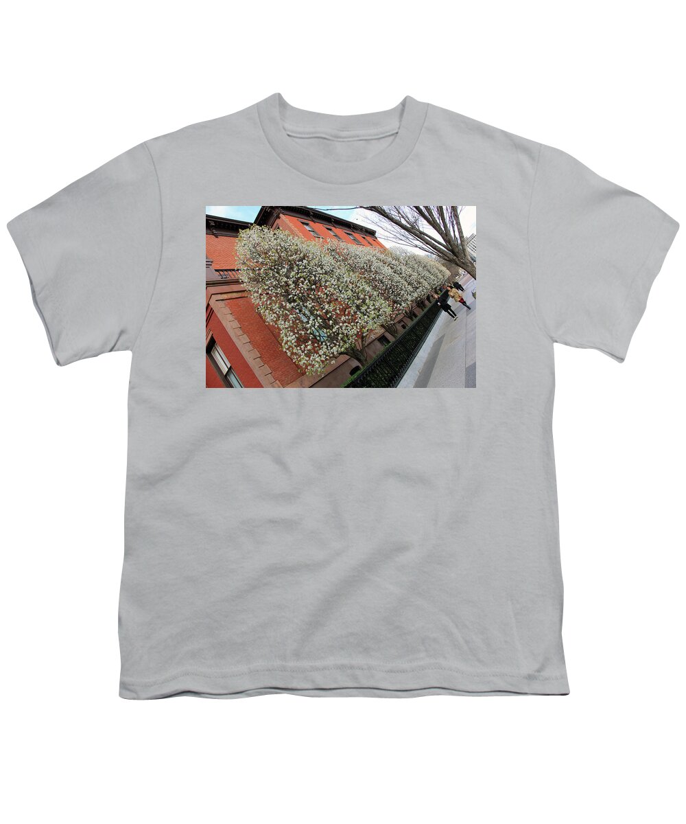 Pear Youth T-Shirt featuring the photograph A Slant Of Blooming Pear Trees by Cora Wandel