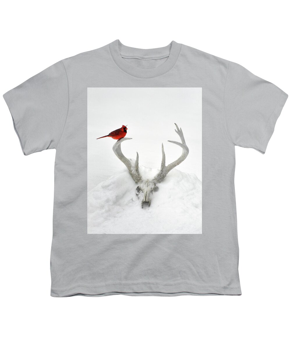 Nature Youth T-Shirt featuring the photograph Buck And Cardinal by Garrett Sheehan