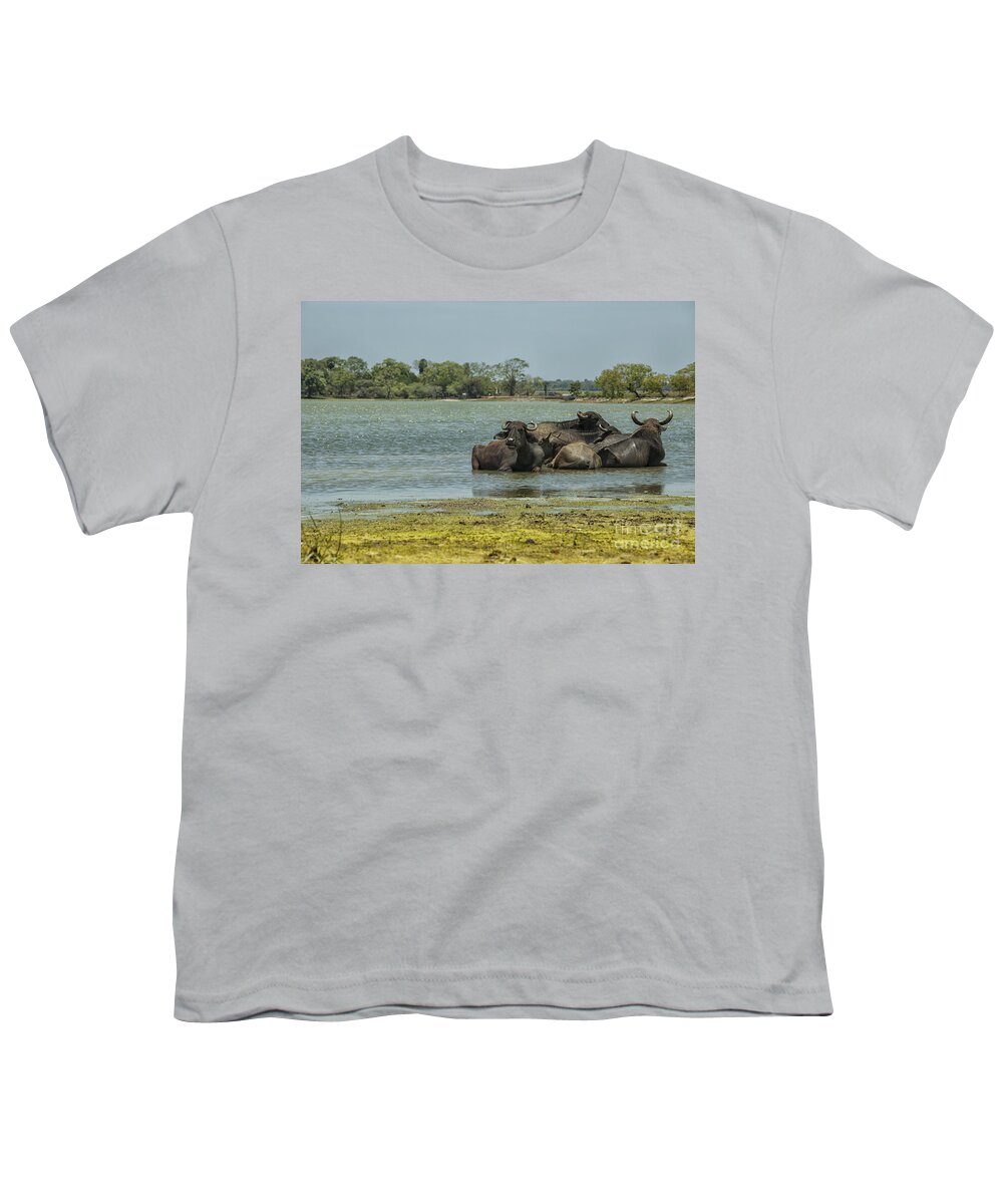 Sri Youth T-Shirt featuring the photograph Buffalo the water by Patricia Hofmeester