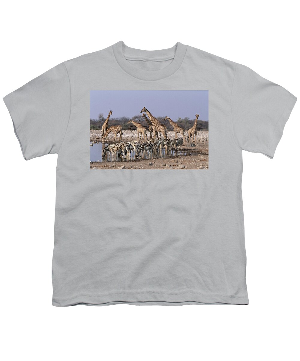 Mp Youth T-Shirt featuring the photograph Burchells Zebra Equus Burchellii by Michael & Patricia Fogden