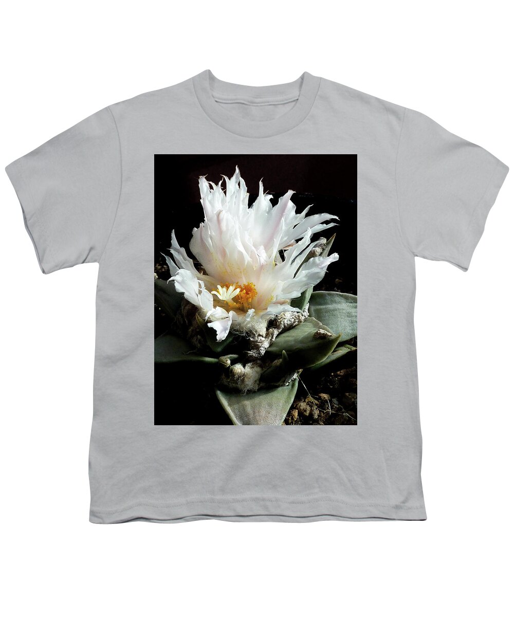 Cactus Youth T-Shirt featuring the photograph Cactus Flower 8 by Selena Boron