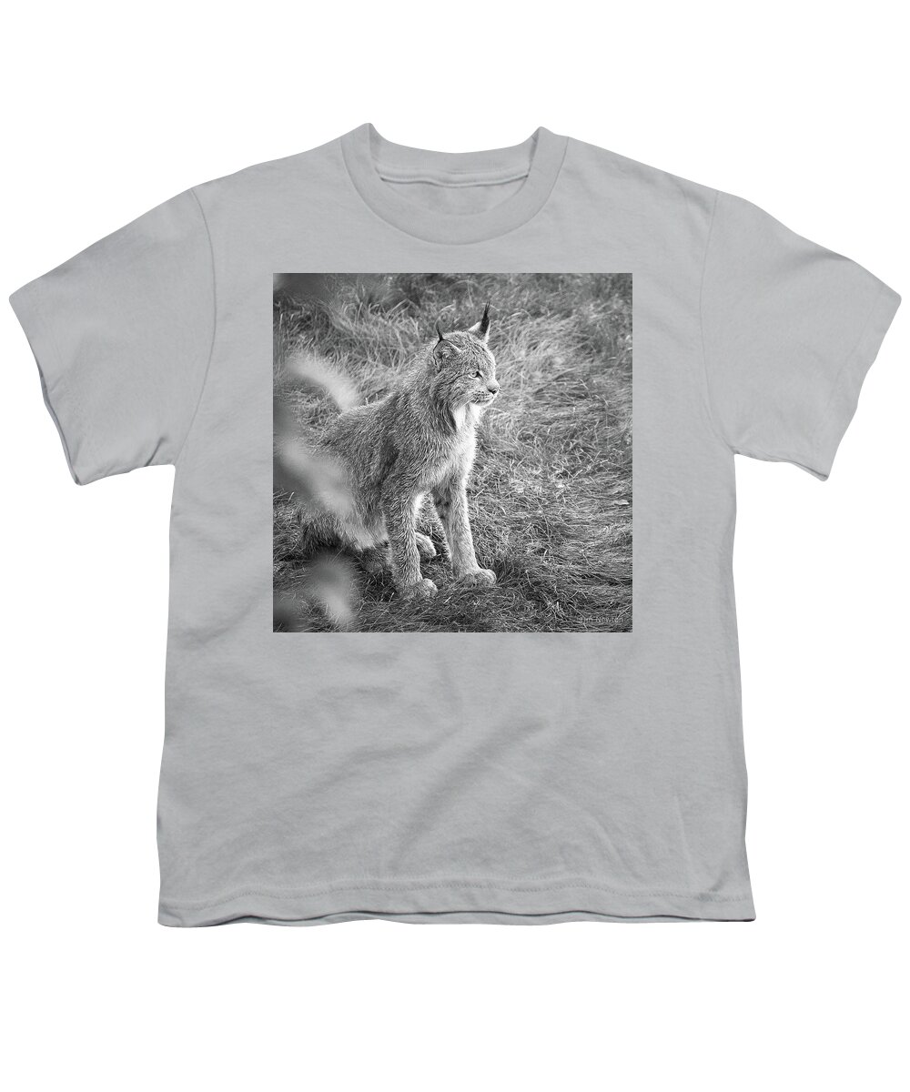 Lynx Youth T-Shirt featuring the photograph Champion Mama Lynx bw by Tim Newton