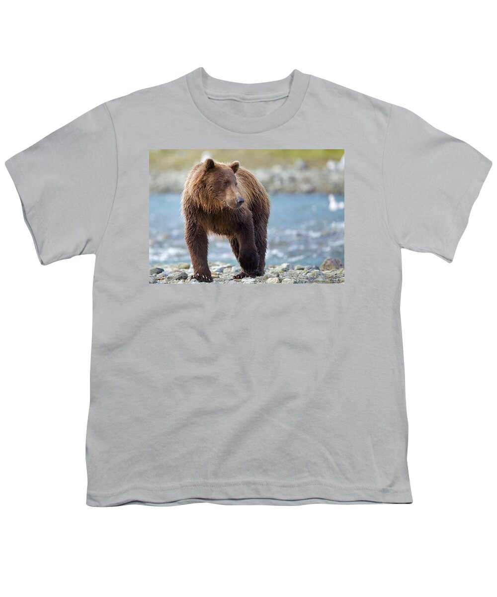 Brown Youth T-Shirt featuring the photograph Coastal Brown Bear by Brian Magnier