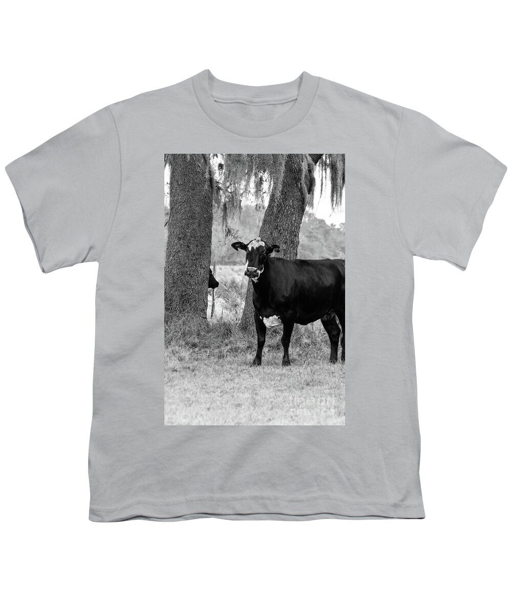 Spanish Moss Youth T-Shirt featuring the photograph Cow Gaze, Black and White by Liesl Walsh