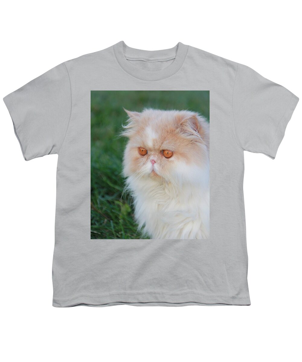 Cat Youth T-Shirt featuring the painting Dauphin 1 by Robert SORENSEN