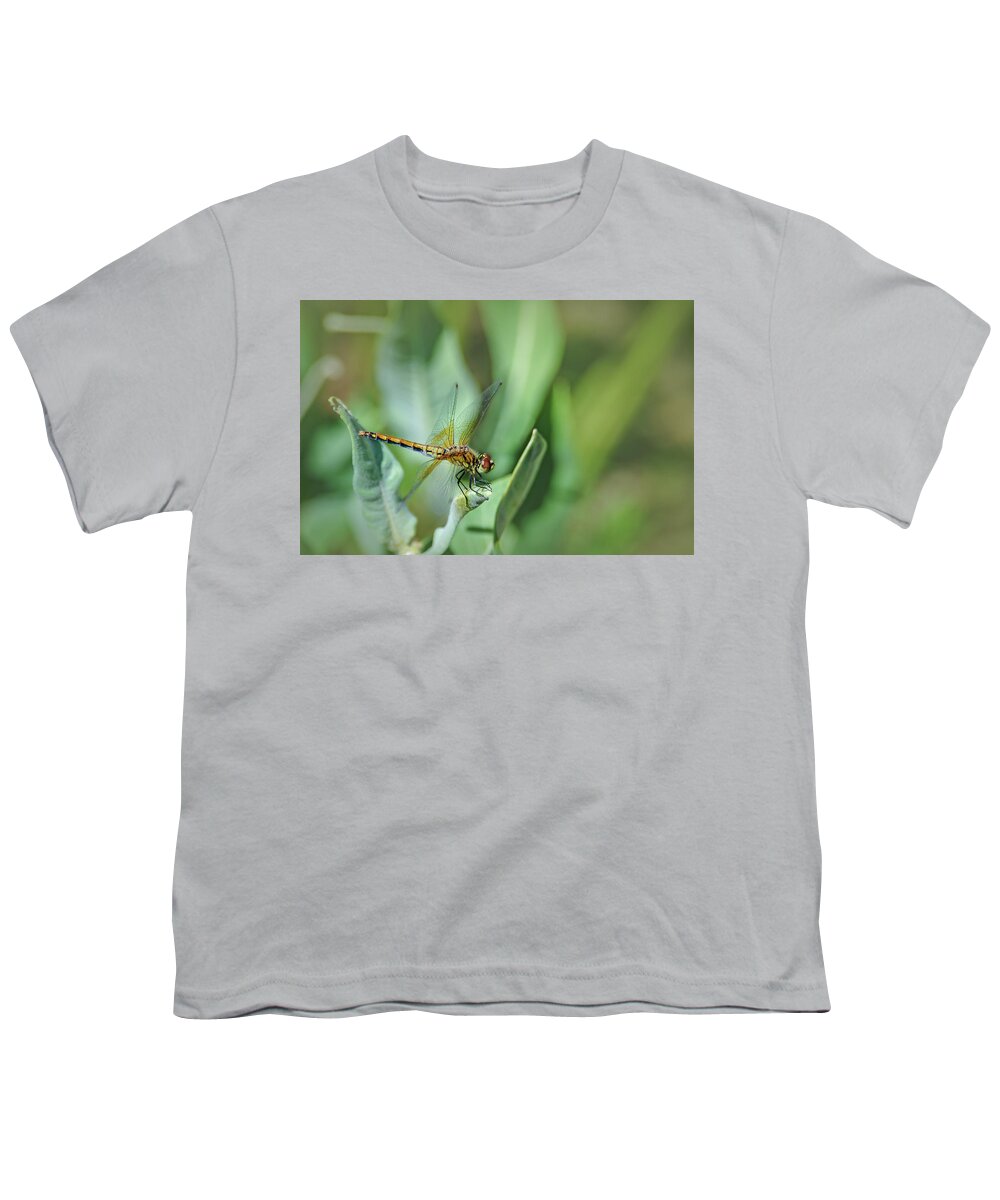 Insect Youth T-Shirt featuring the photograph Dragon Fly 1 by Rick Mosher