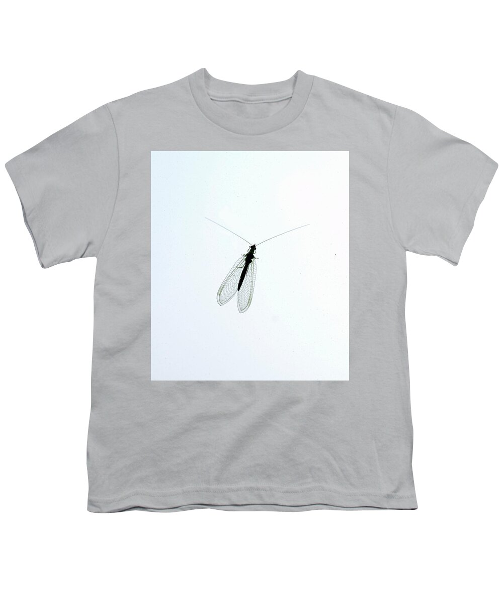 Insect Youth T-Shirt featuring the photograph Dragon Fly by Paul Ross