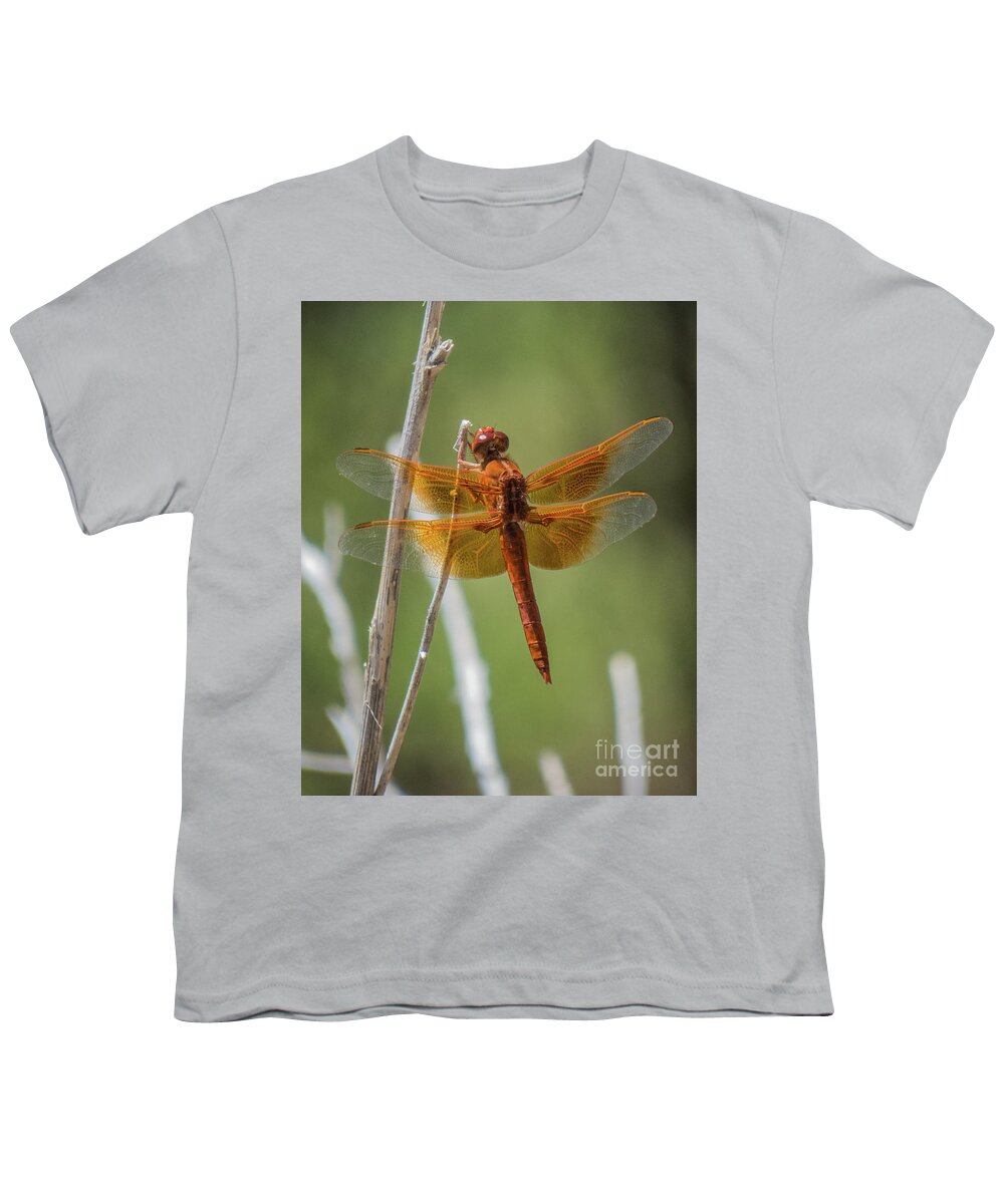 Dragonfly Youth T-Shirt featuring the photograph Dragonfly 10 by Christy Garavetto