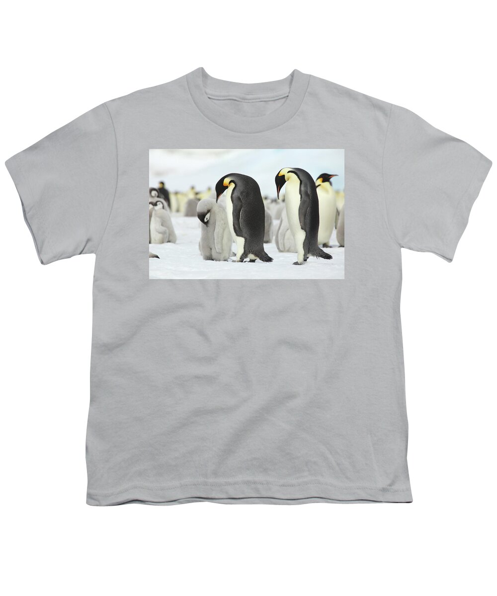 Penguin Youth T-Shirt featuring the photograph Emperor Penguin Siesta by Bruce J Robinson