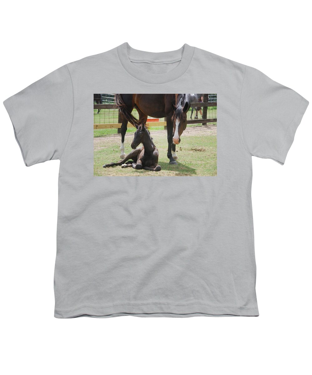 Foal Youth T-Shirt featuring the photograph Foal 5 by Max Mullins