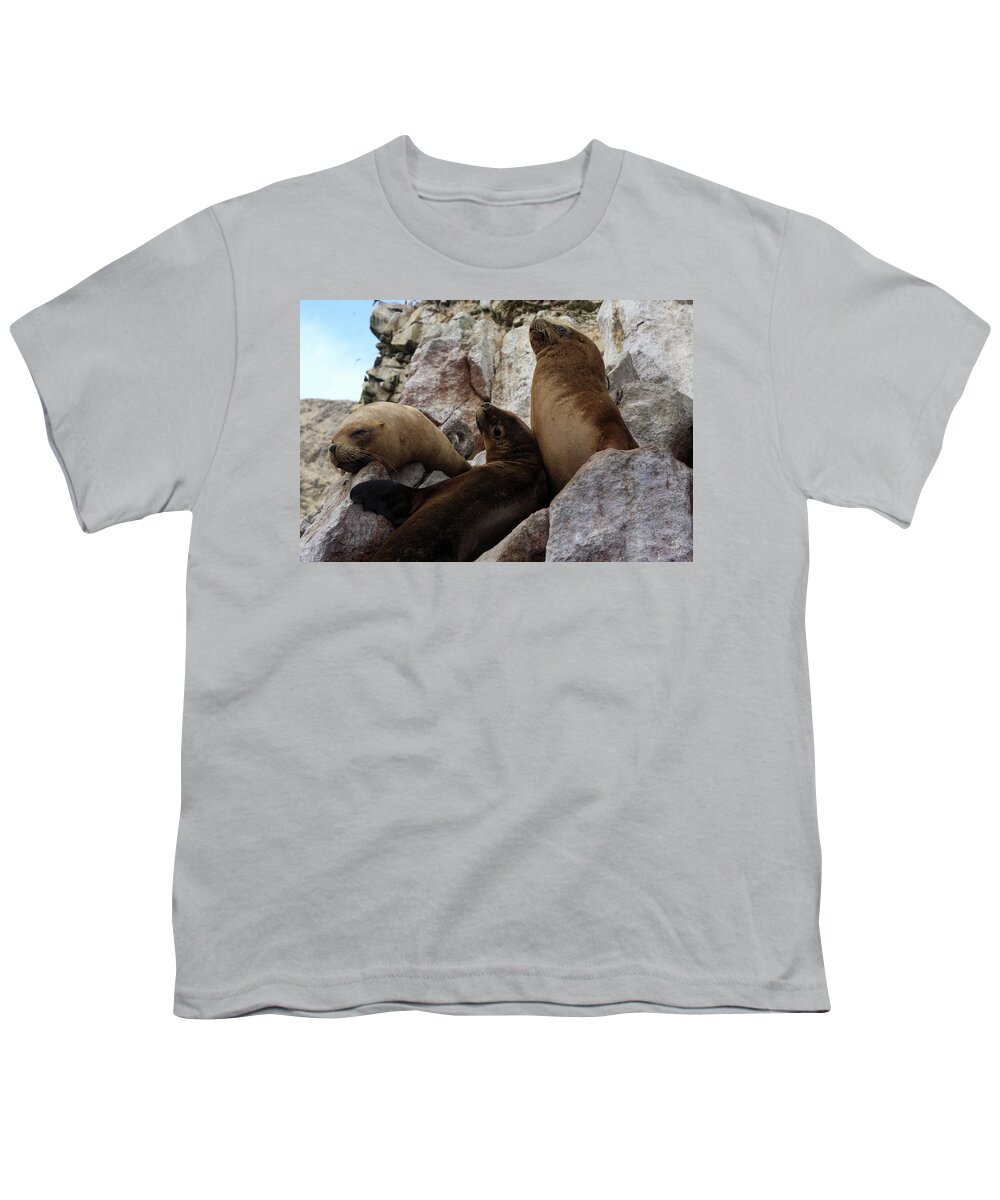 Fur Youth T-Shirt featuring the photograph Fur Seals On The Ballestas Islands, Peru by Aidan Moran