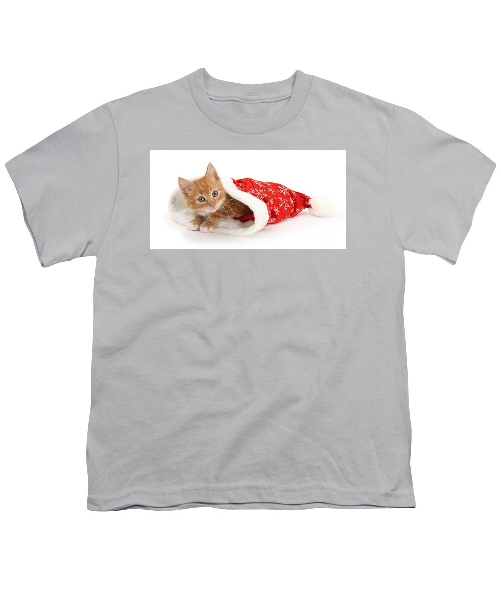 Father Christmas Youth T-Shirt featuring the photograph Ginger Kit in Santa Hat by Warren Photographic