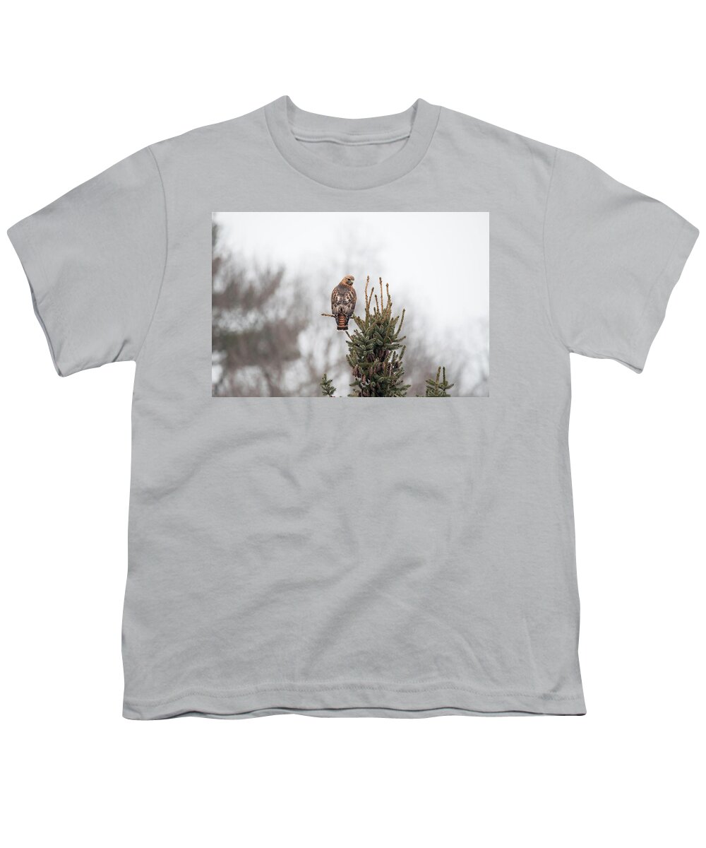 Ornithology Outside Outdoors Natural Wild Wildlife Nature Predator Boylston West W Westboylston Ma Mass Massachusetts Brian Hale Brianhalephoto Newengland New England Hanging Out Branch Tree Watching Looking Youth T-Shirt featuring the photograph Hal Hanging Out 2 by Brian Hale
