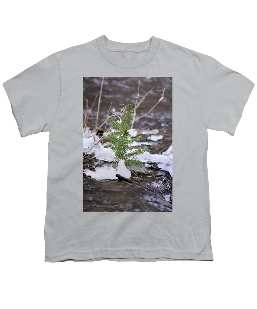 Landscape Youth T-Shirt featuring the photograph Hanging In There by Ron Cline