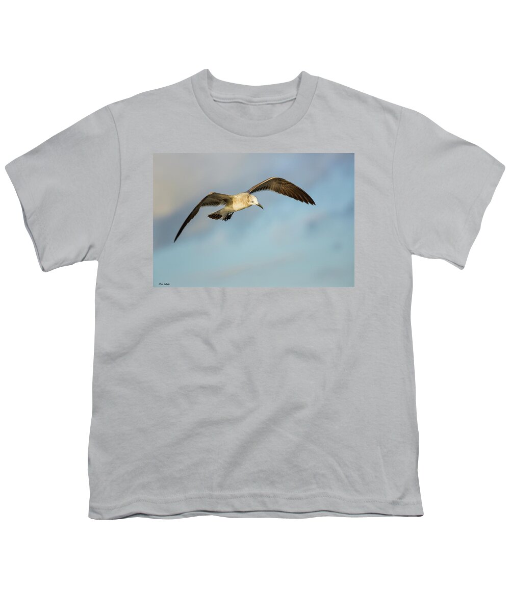 Gull Youth T-Shirt featuring the photograph Hovering Gull by Fran Gallogly