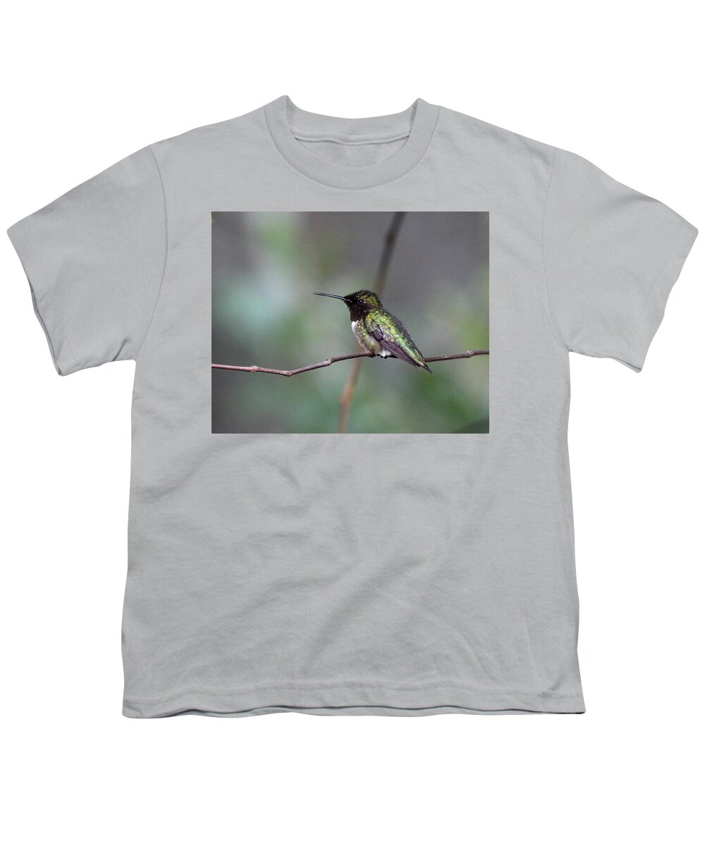 Ruby-throated Hummingbird Youth T-Shirt featuring the photograph IMG_3753 - Ruby-throated Hummingbird by Travis Truelove