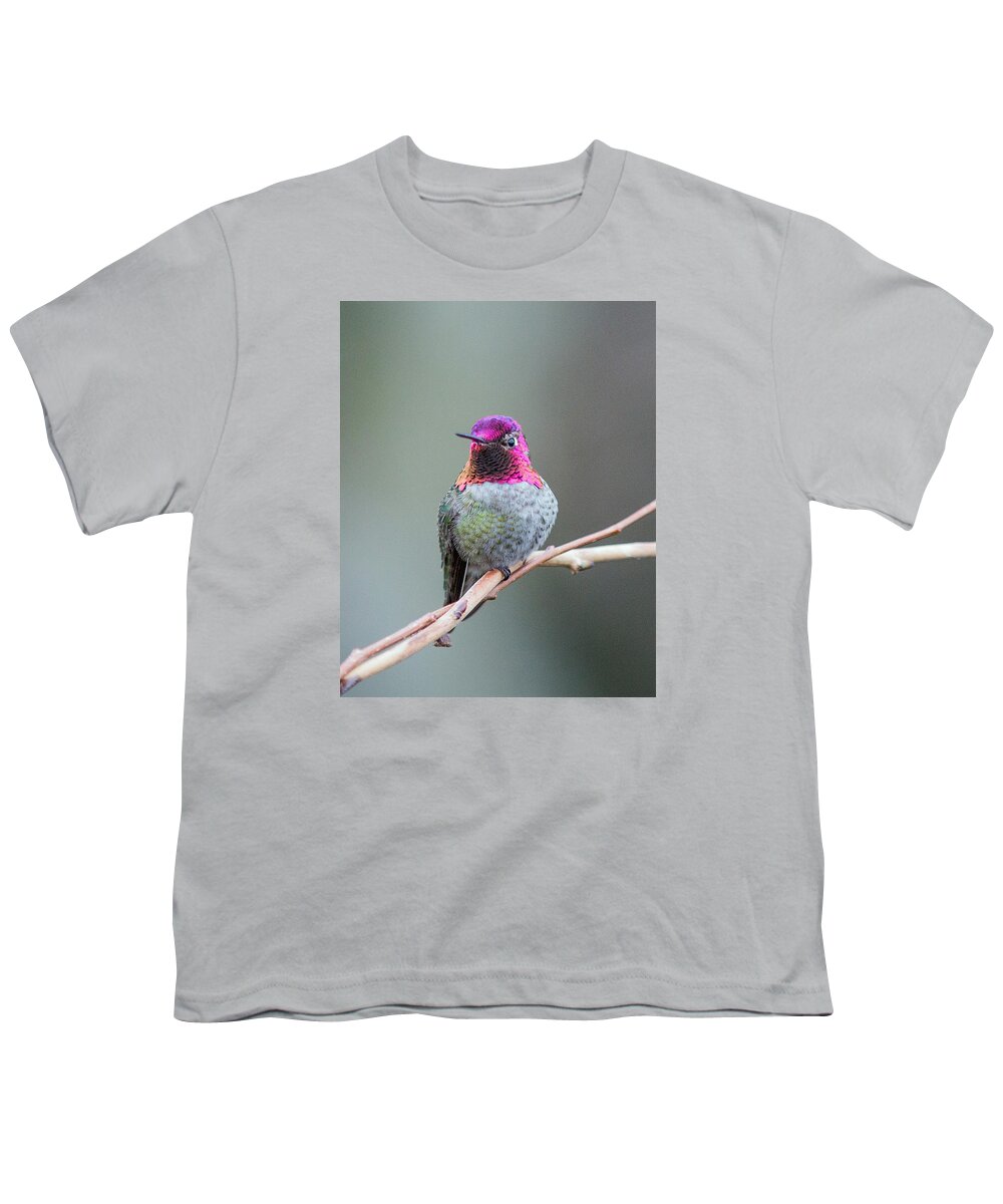 Nature Photography Youth T-Shirt featuring the photograph Karisa's Hummingbird.1 by E Faithe Lester