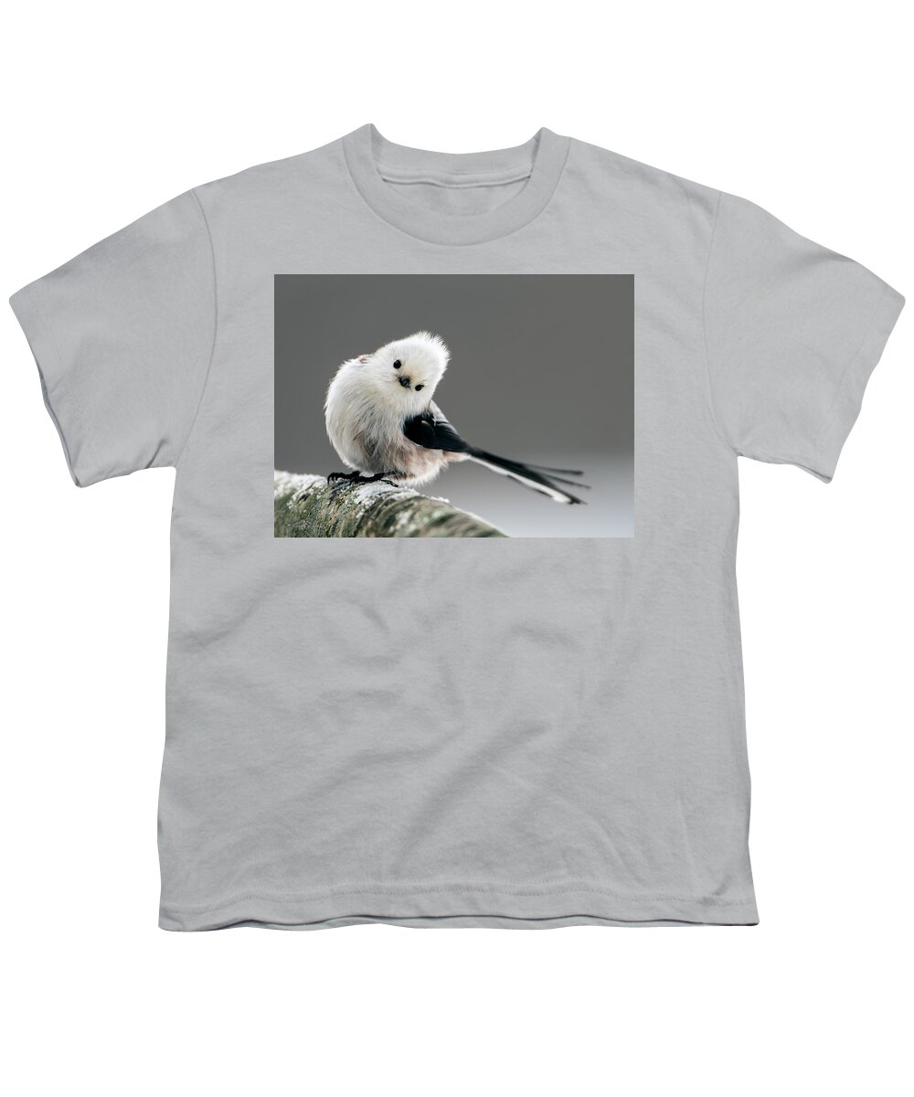 Charming Long-tailed Look Youth T-Shirt featuring the photograph Charming Long-tailed look by Torbjorn Swenelius