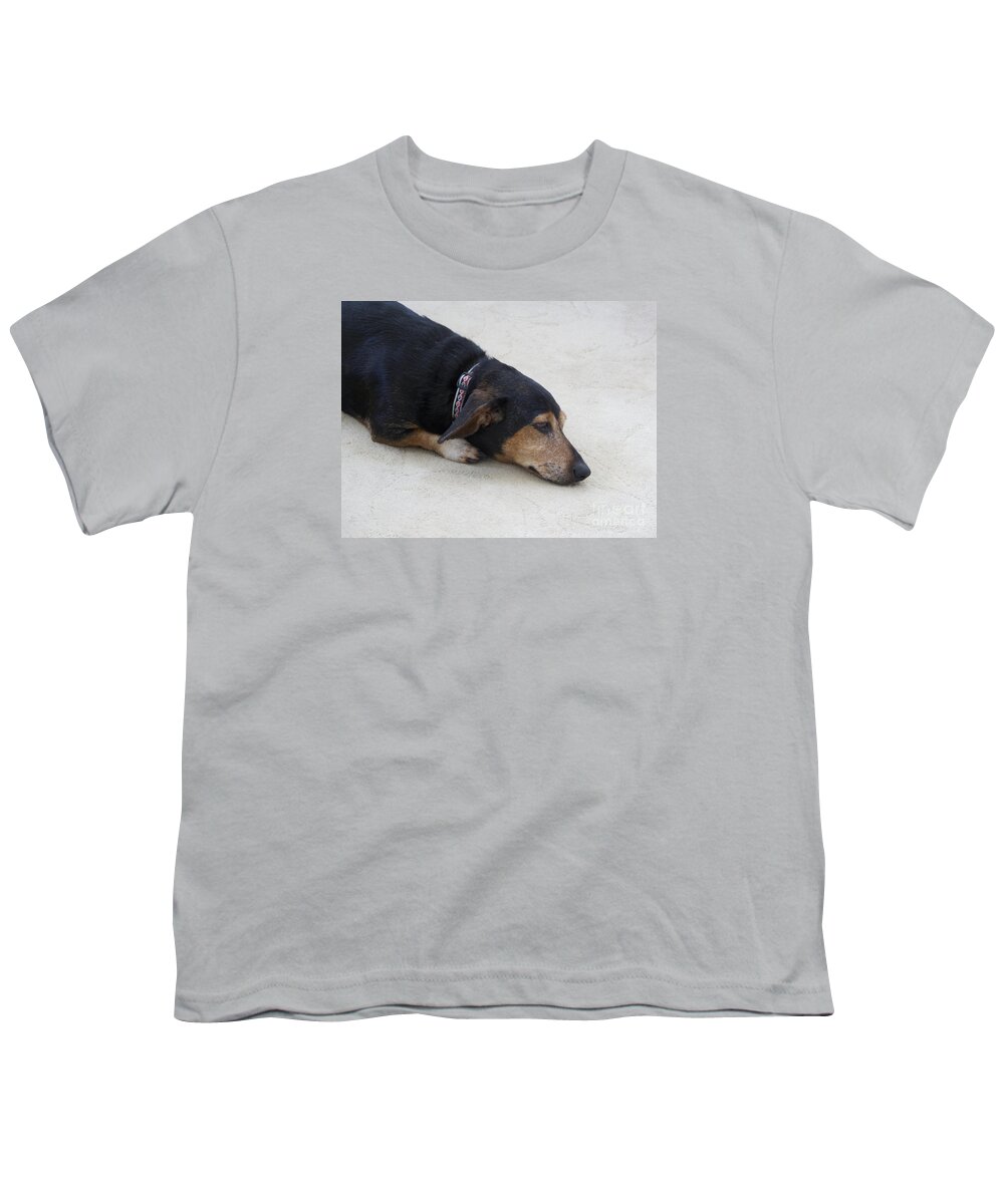 Dog Youth T-Shirt featuring the photograph Nap Time by Ann Horn