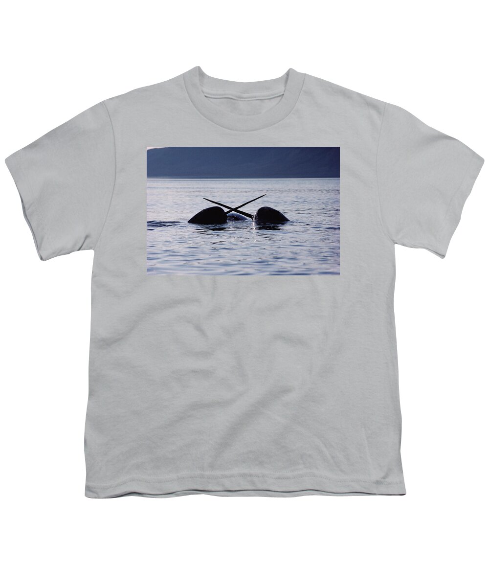 00080563 Youth T-Shirt featuring the photograph Narwhal Males Sparring Baffin Island by Flip Nicklin