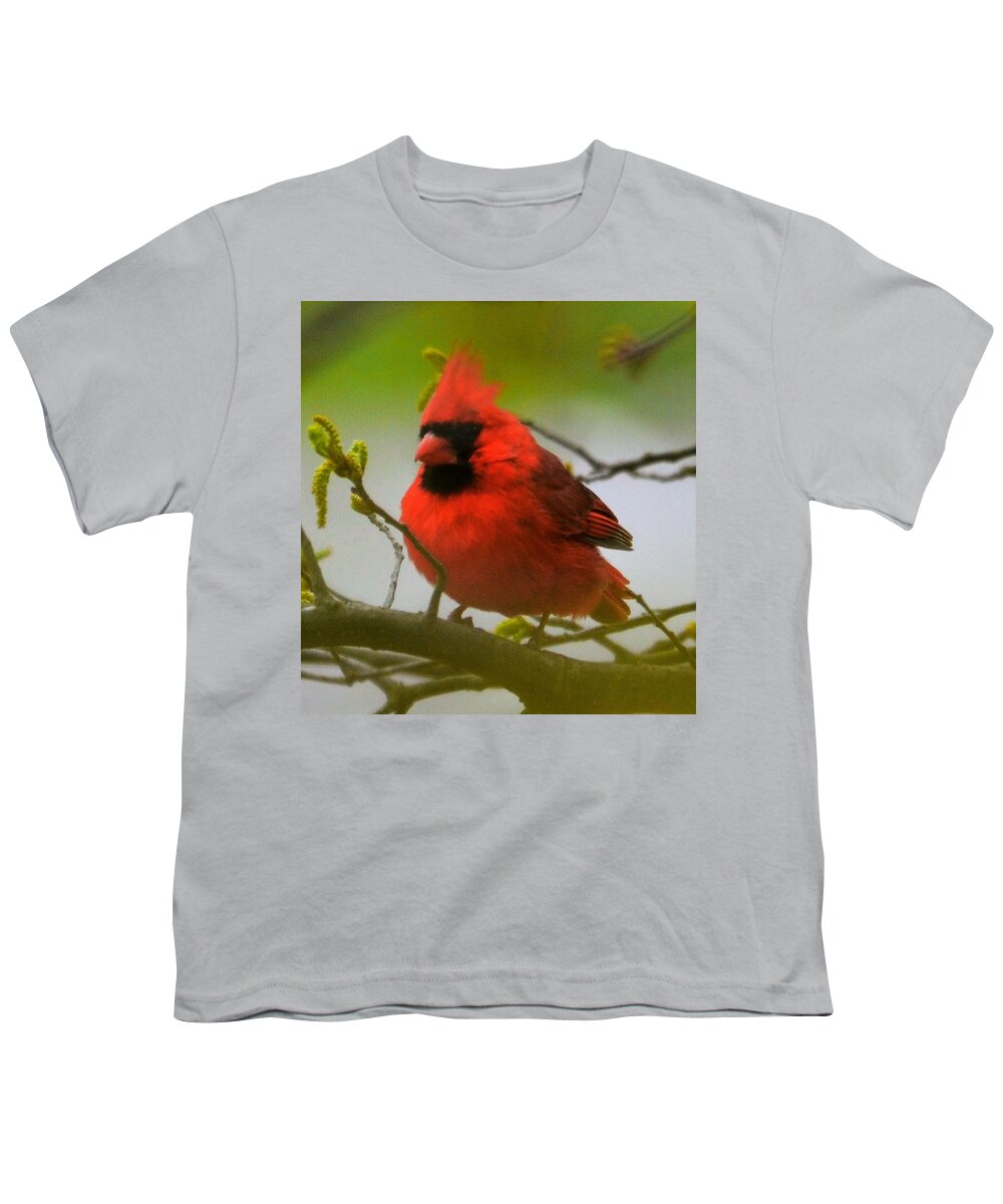  Youth T-Shirt featuring the photograph North Carolina Cardinal by Chuck Brown