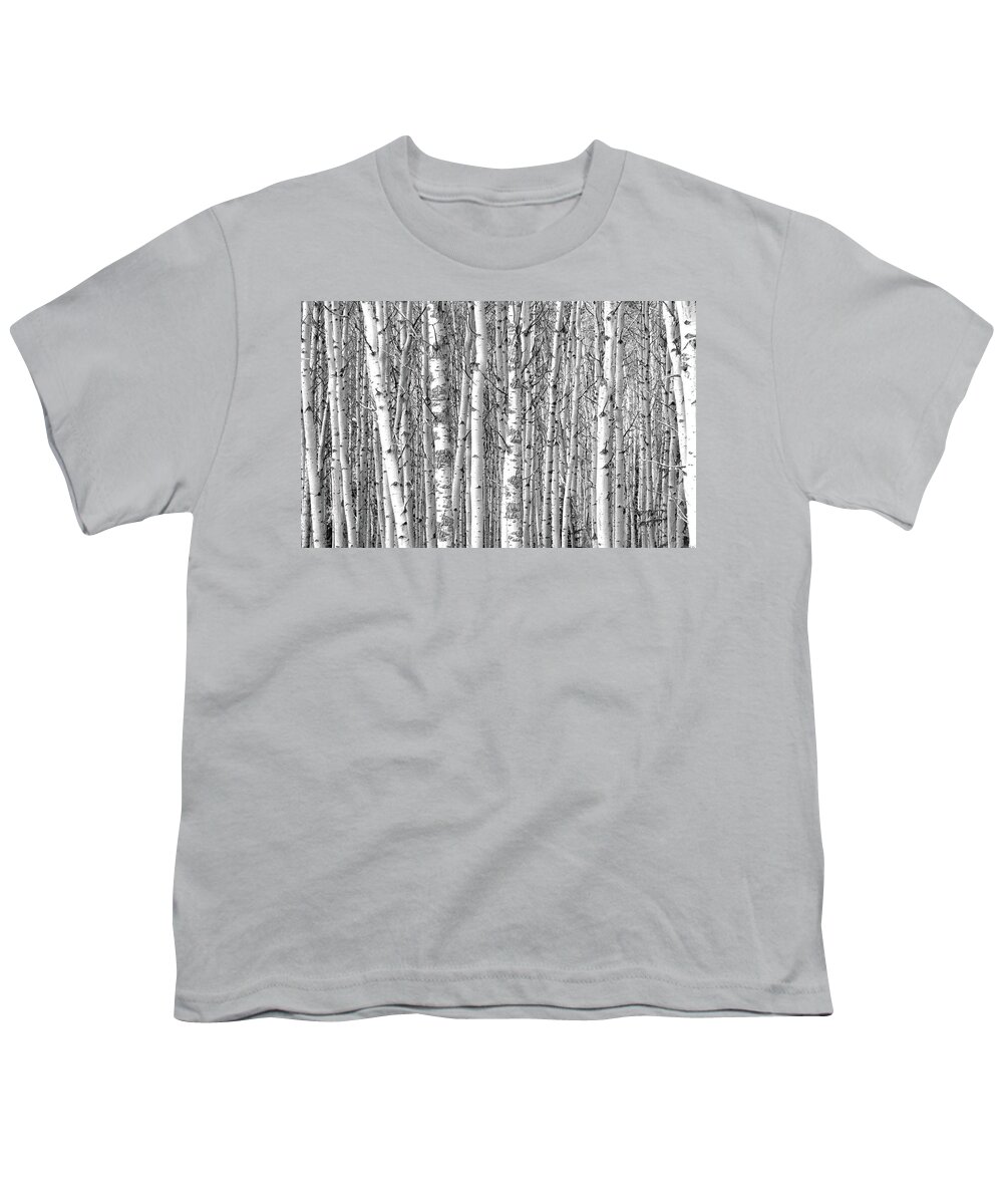 Canadian Rockies Youth T-Shirt featuring the photograph Nothing But Aspen by David T Wilkinson