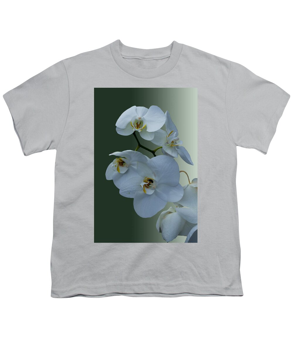 Orchidaceae Is A Diverse And Widespread Family Of Flowering Plants Youth T-Shirt featuring the photograph Pleasant by Ramabhadran Thirupattur