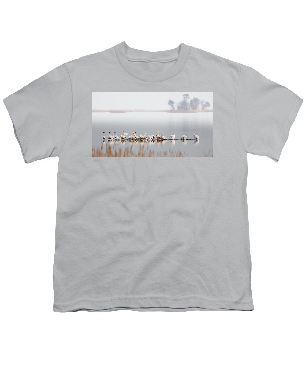 Swans Youth T-Shirt featuring the photograph Raft of Pelicans at Blackwater NWR by Jack Nevitt