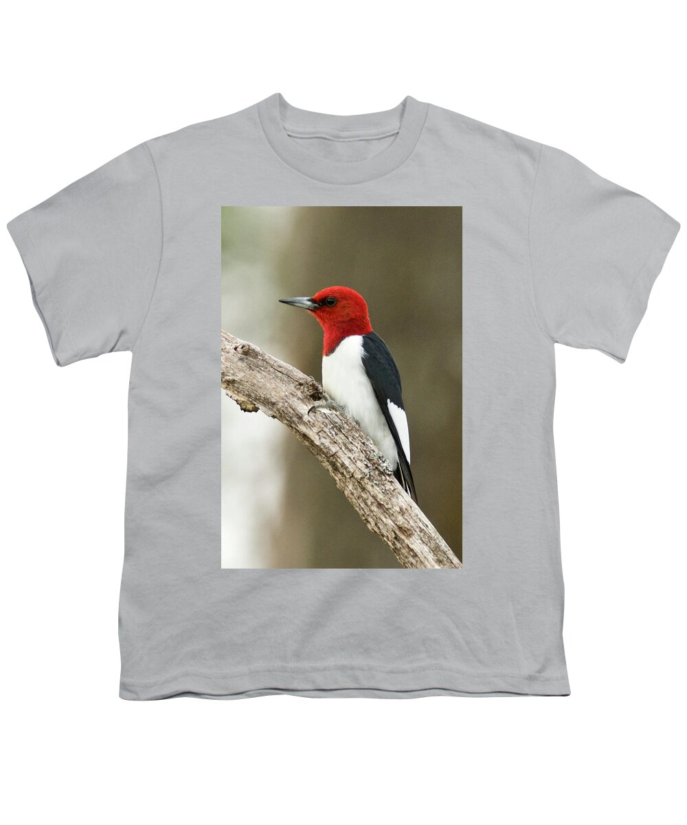 Red Youth T-Shirt featuring the photograph Red-headed Woodpecker 4255 by Michael Peychich