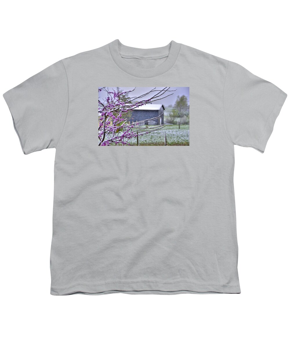 Landscape Youth T-Shirt featuring the photograph Redbud Winter by Sam Davis Johnson