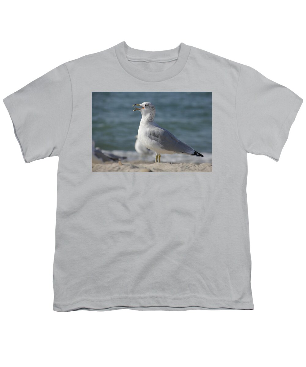 Seagull Youth T-Shirt featuring the photograph Seagull on Lake Erie Beach by Valerie Collins