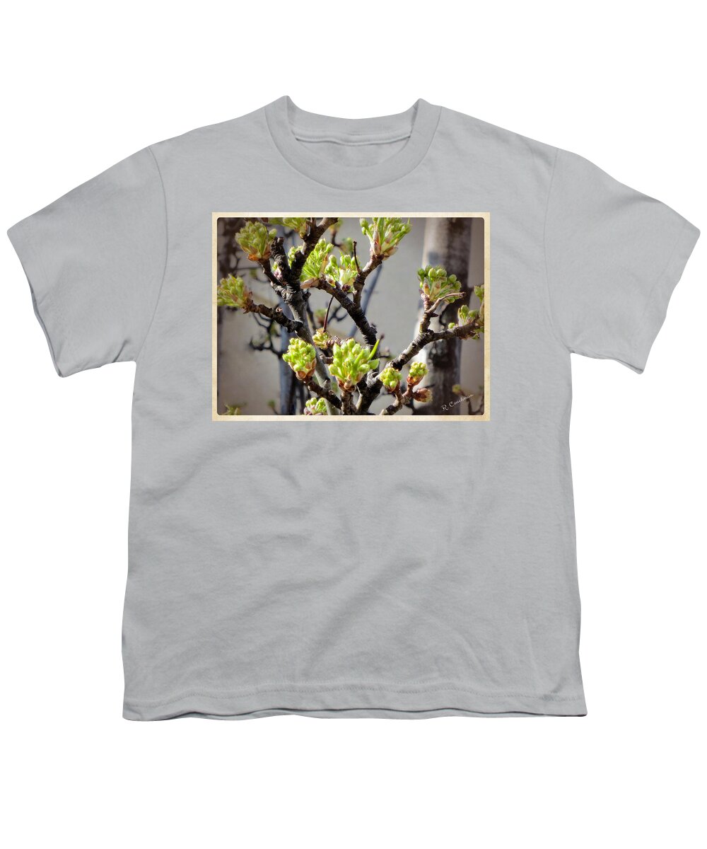 Trees Youth T-Shirt featuring the painting Shooting Forth by Renette Coachman
