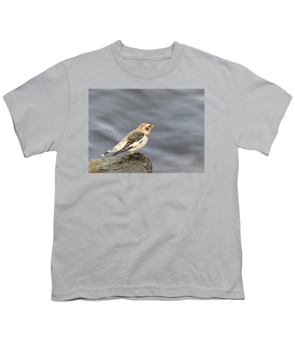 Snow Bunting Youth T-Shirt featuring the photograph Snow Bunting 2017-2 by Thomas Young