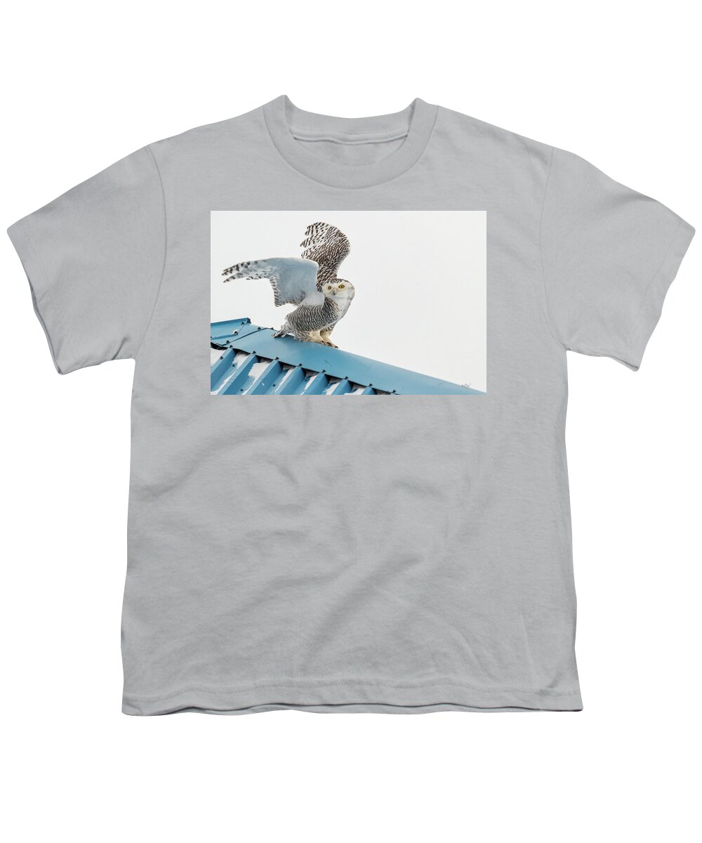 Owl Youth T-Shirt featuring the photograph Snowy Model Ambition by Everet Regal