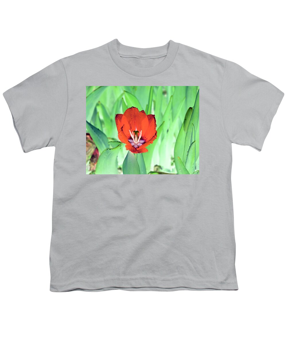 Tulip Youth T-Shirt featuring the photograph Spring Tulips - PhotoPower 3048 by Pamela Critchlow