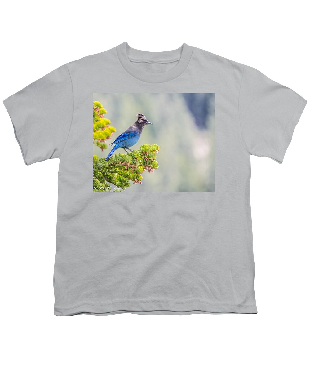 Stellars Jay Tahoe Bird Blue Youth T-Shirt featuring the photograph Stellers Jay by Martin Gollery