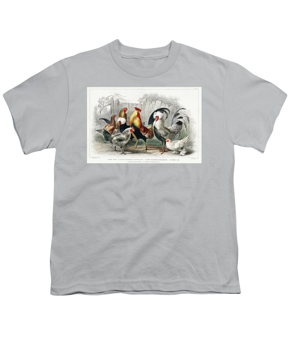 Wildlife Youth T-Shirt featuring the painting Taps and hens from A history of the earth and animated nature by Vincent Monozlay