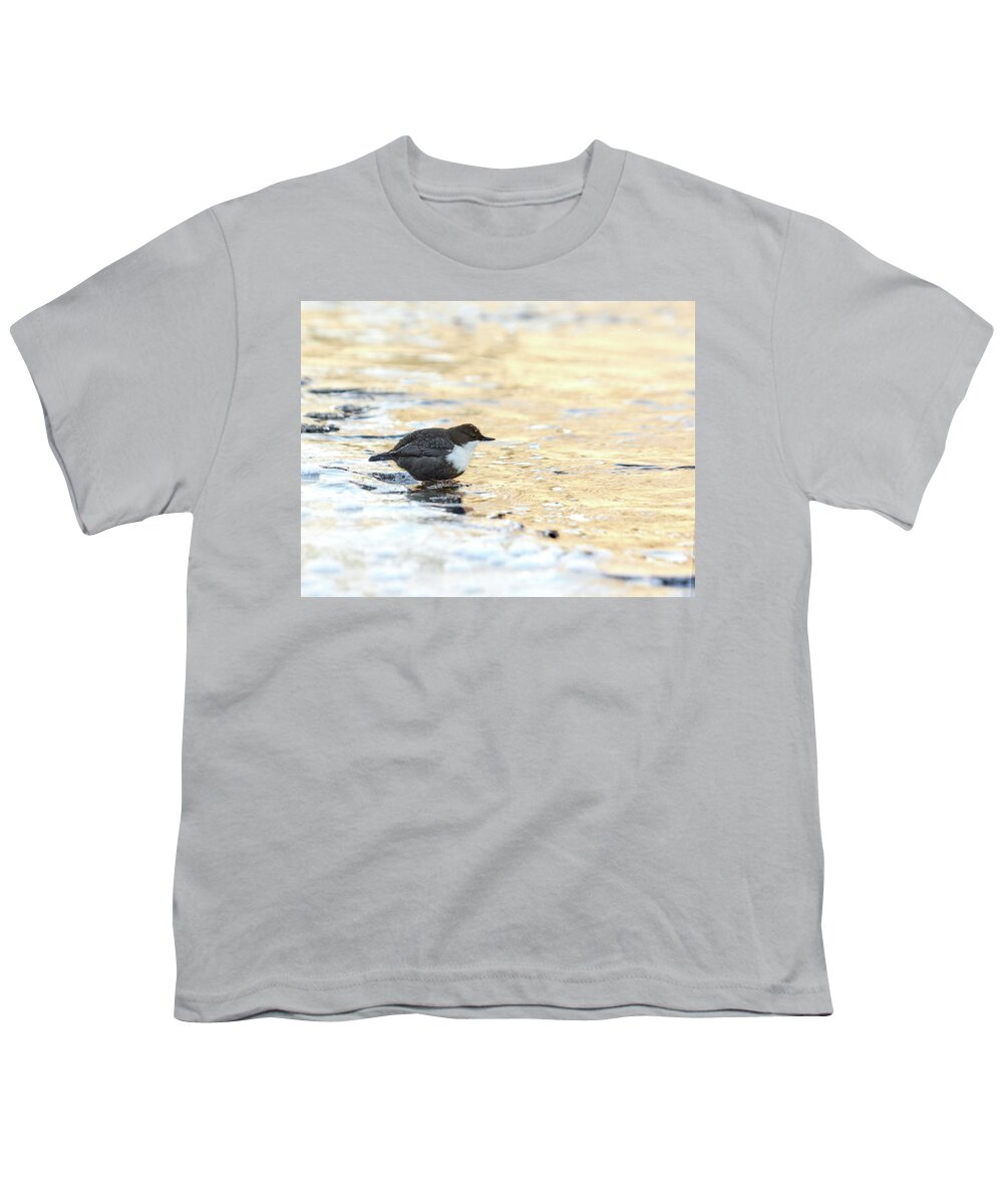 Lehtokukka Youth T-Shirt featuring the photograph The Golden river. White-throated dipper by Jouko Lehto