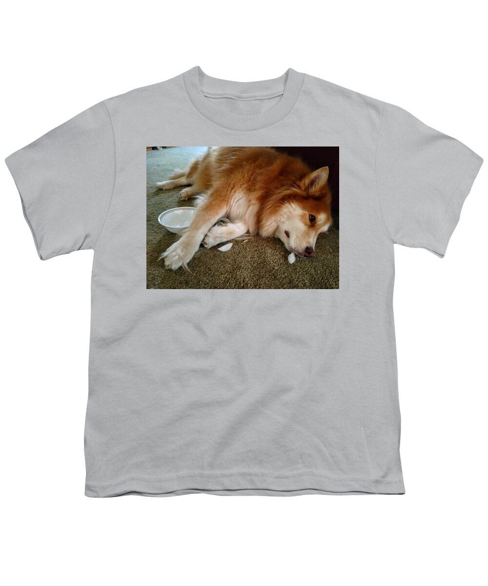  Youth T-Shirt featuring the photograph Too Tired For Treats by Brad Nellis