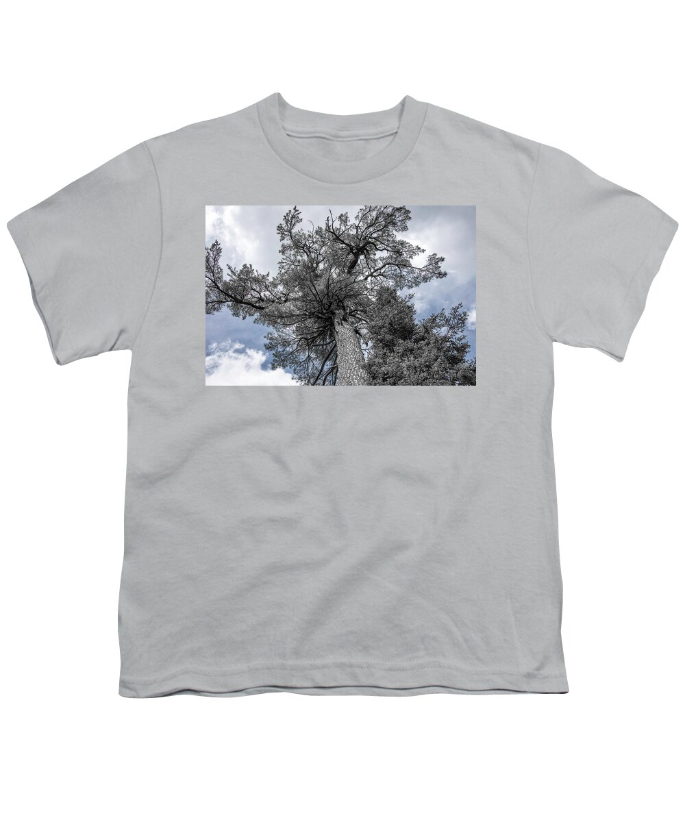 Tree Youth T-Shirt featuring the photograph Tree in Agawa Canyon by Kathy Paynter