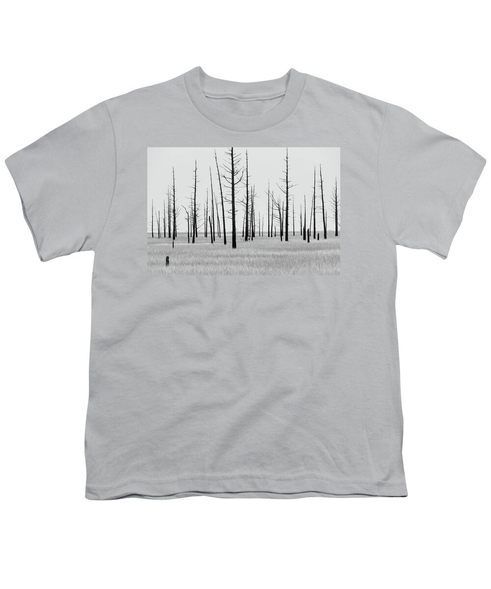 Landscape Youth T-Shirt featuring the photograph Trees Die off by Louis Dallara