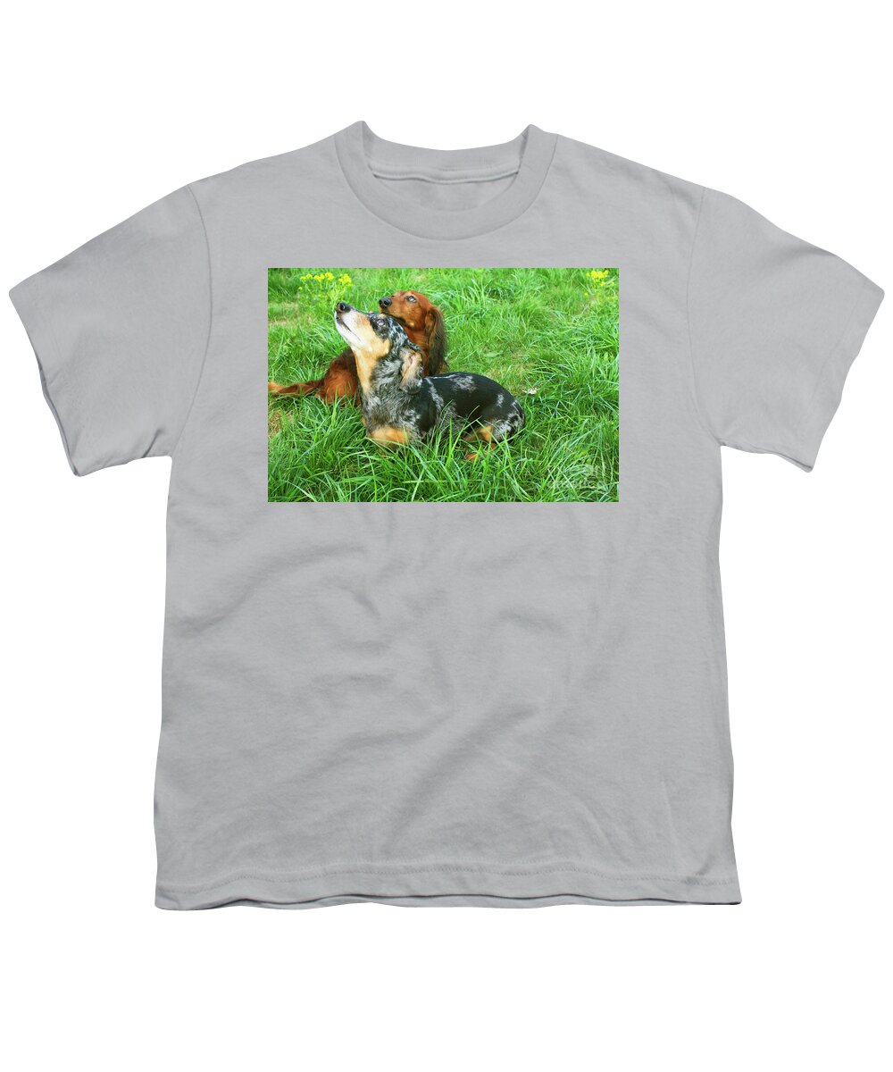 Animal Youth T-Shirt featuring the photograph Two dachshunds by Irina Afonskaya