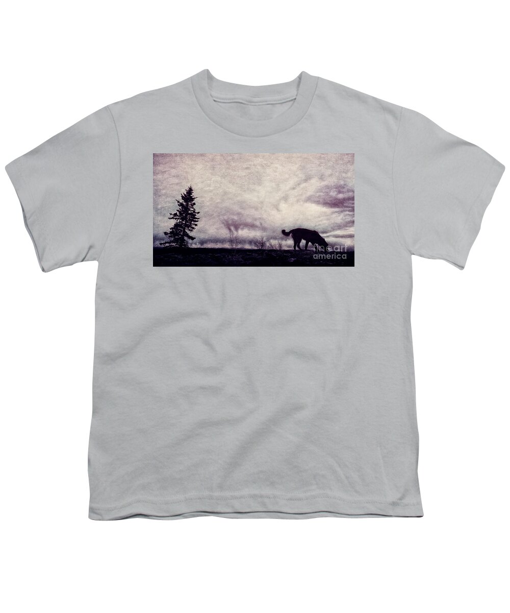 Night Youth T-Shirt featuring the photograph When night closes in by Priska Wettstein