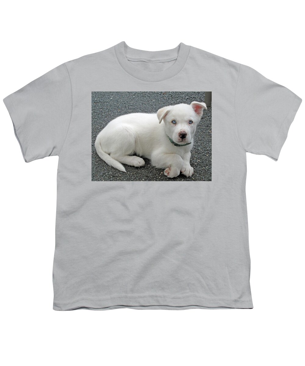 Dog Youth T-Shirt featuring the photograph White Dog Blue Eyes by Barbara McDevitt