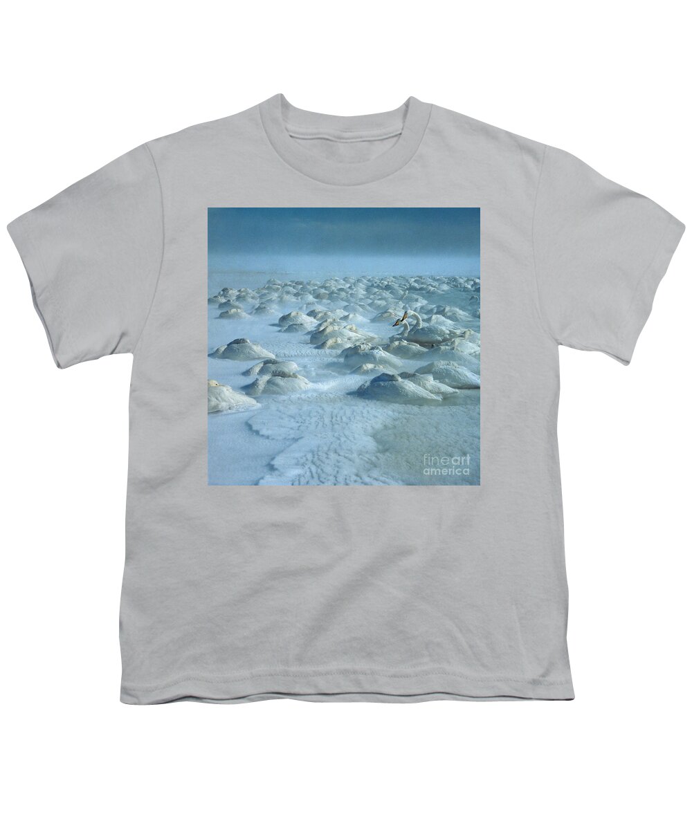 Whooper Swan Youth T-Shirt featuring the photograph Whooper Swans in Snow by Teiji Saga and Photo Researchers