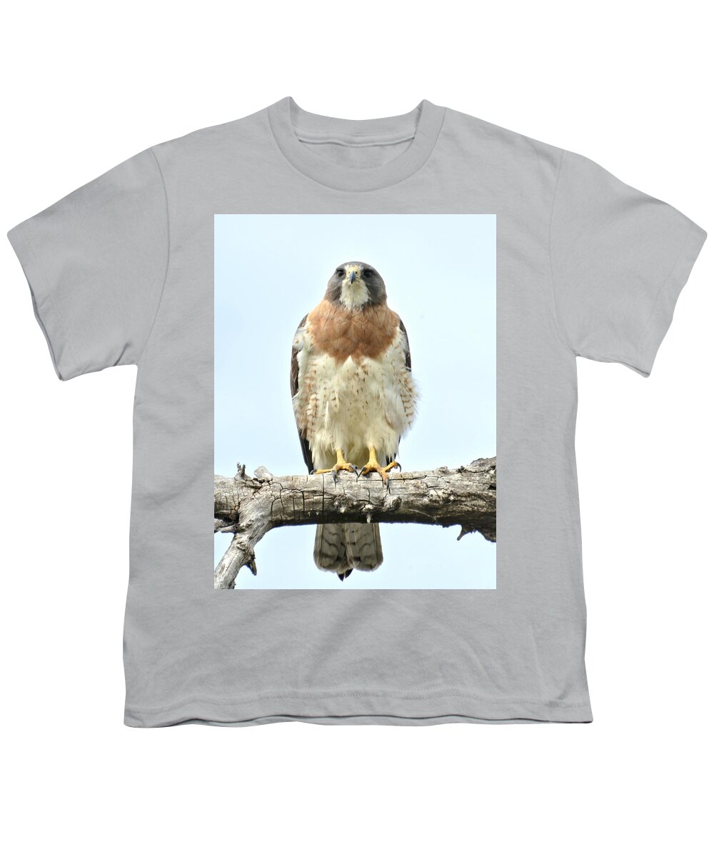 Hawk Youth T-Shirt featuring the photograph Wild Red Tail Hawk by Amy McDaniel